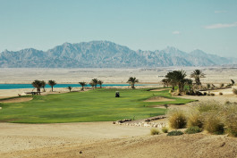 Atelier Raffler Photographie