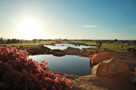 Atelier Raffler Photographie