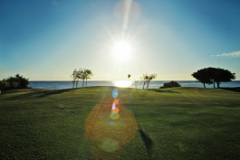 Atelier Raffler Photographie